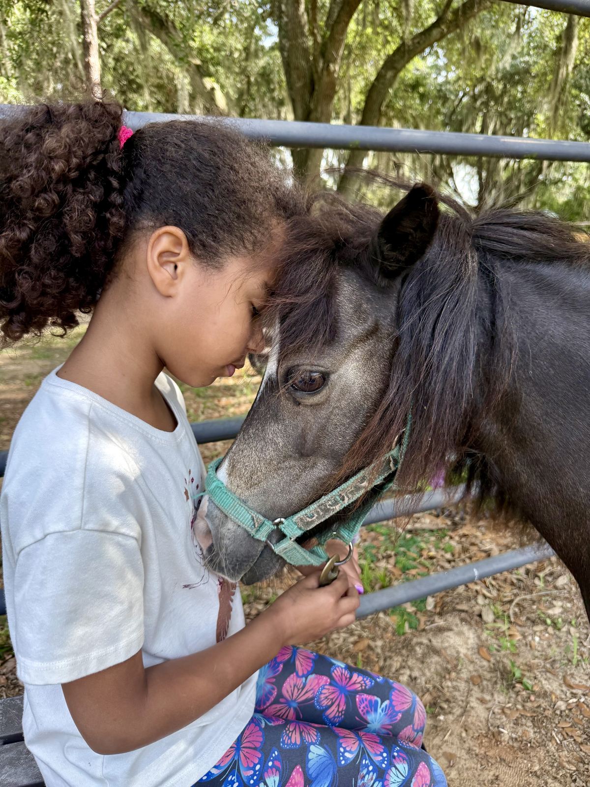 A young girl rests her forehead against a dark pony's face while holding its lead rope