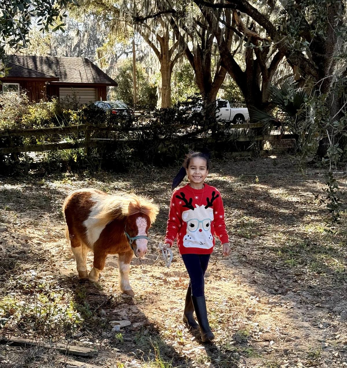 A girl in a red sweater leads a small brown and white pony along a shaded farm path