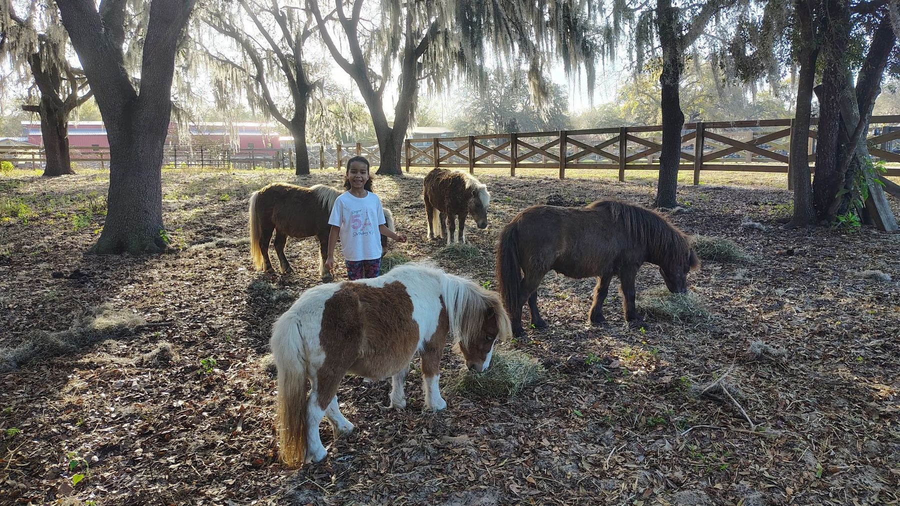 A smiling girl standing among four ponies in a sunlit Florida pasture under oak trees